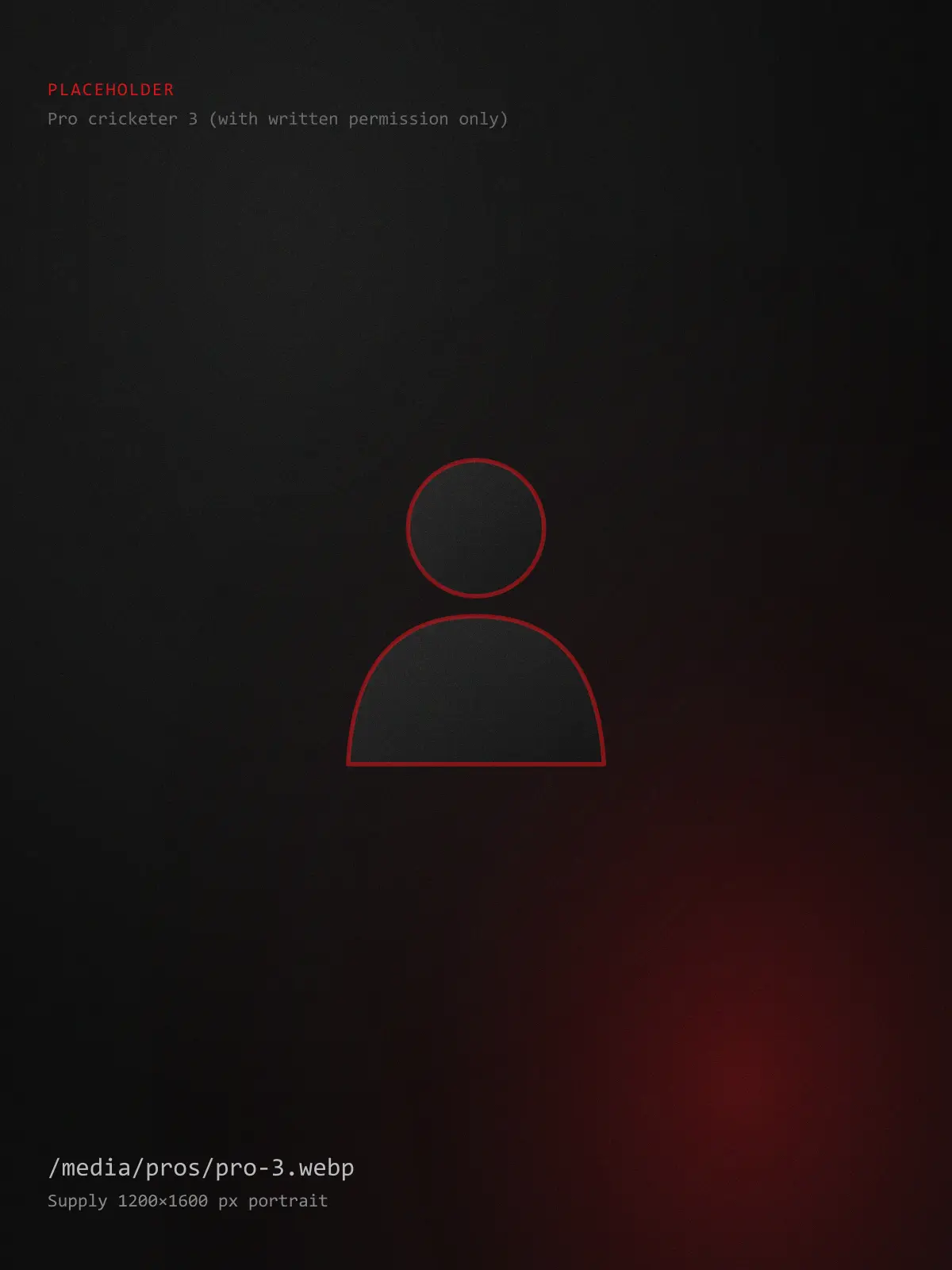 Placeholder portrait